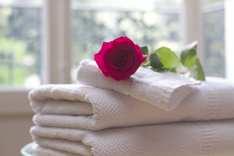 chambre-hote-CANTARON-min_towel_rose_clean_care_salon_spa_white_bath-731641